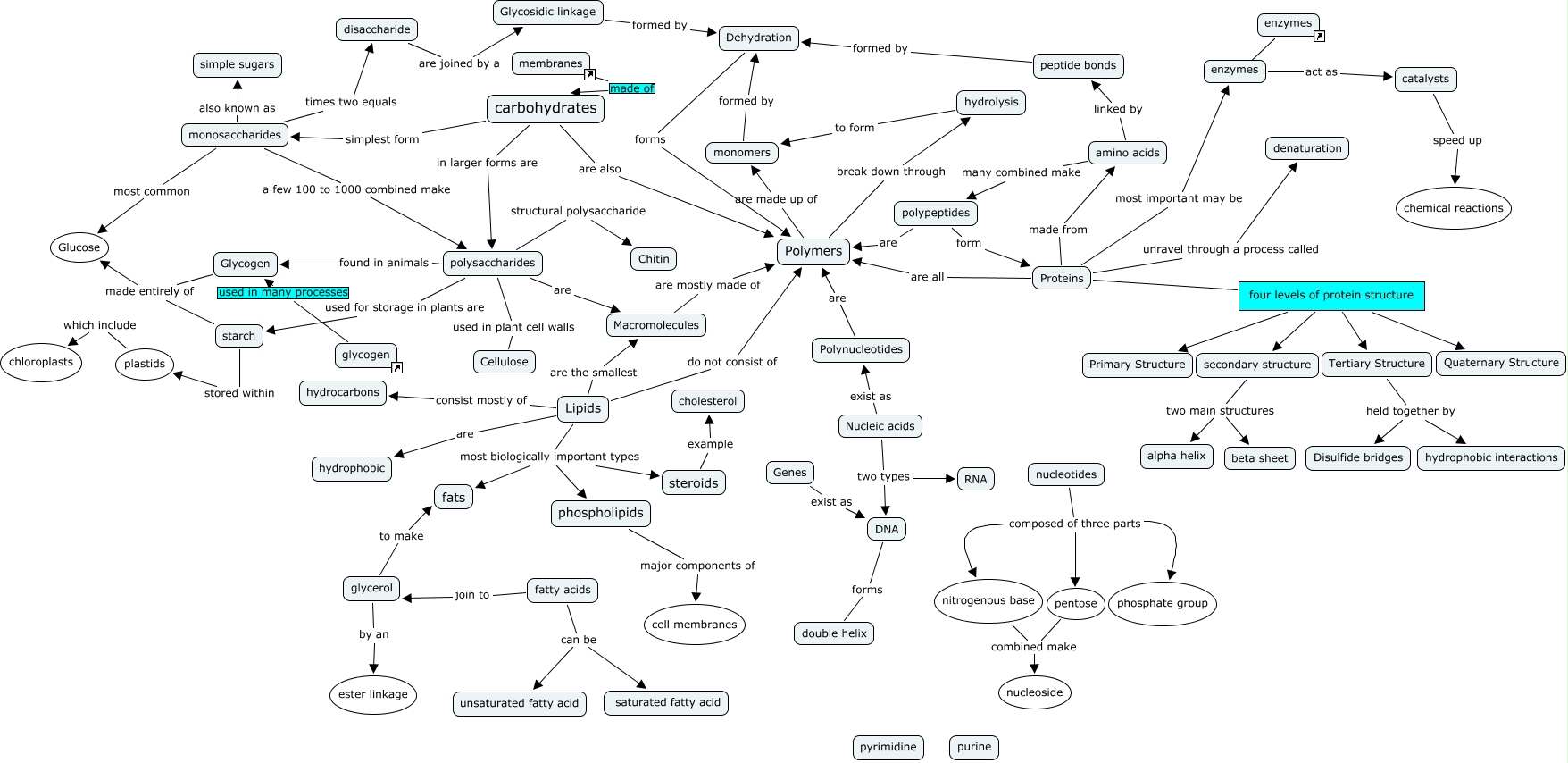 molecules of life_overview cell structure & function of organelles